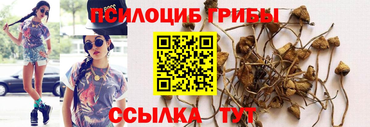 Кызыл  Галлюциногенные грибы прущие грибы  Галлюциногенные грибы GOLDEN TEACHER  Вход с VPN 